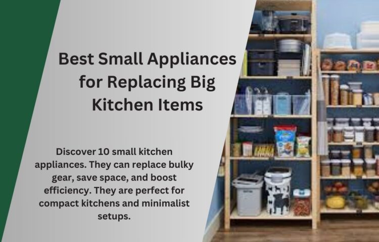 Best Small Appliances